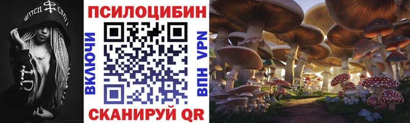 Галлюциногенные грибы Magic Shrooms  mega рабочий сайт  Полярный 